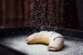 Tasty fresh croissants sprinkled with powdered sugar.Delicious c