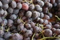 Tasty Fresh Grape In Market,Moroccan Traditional Dessert, Seasonal Fruit