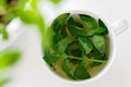 Tasty fresh herbal tea with green peppermint and basil essential oils Royalty Free Stock Photo