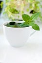 Tasty fresh herbal tea with green peppermint and basil essential oils Royalty Free Stock Photo