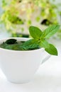 Tasty fresh herbal tea with green peppermint and basil essential oils Royalty Free Stock Photo
