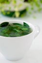 Tasty fresh herbal tea with green peppermint and basil essential oils Royalty Free Stock Photo