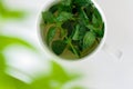 Tasty fresh herbal tea with green peppermint and basil essential oils Royalty Free Stock Photo