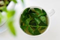 Tasty fresh herbal tea with green peppermint and basil essential oils Royalty Free Stock Photo