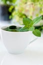 Tasty fresh herbal tea with green peppermint and basil essential oils Royalty Free Stock Photo