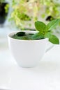 Tasty fresh herbal tea with green peppermint and basil essential oils Royalty Free Stock Photo