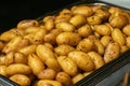 Tasty fresh homemade baked potatoes served on a metal tray. With various herbs, butter, garlic and salt. Gray stone Royalty Free Stock Photo