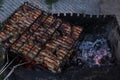 Tasty and fresh juicy cuts of meat on a barbecue grill. Meat skewers being grilled in a barbecue