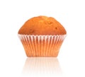 Tasty fresh muffin on white background Royalty Free Stock Photo
