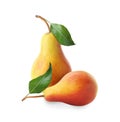 Tasty fresh ripe pears isolated on white Royalty Free Stock Photo