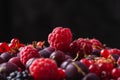 Tasty fresh ripe raspberry, blackberry, gooseberry and red currant berries, healthy food texture on black background Royalty Free Stock Photo