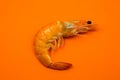 Tasty fresh Shrimp or Prawn on the orange background..Close up photo. Healthy seafood. Minimalism, original and creative image. Royalty Free Stock Photo