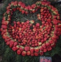 Tasty and fresh strawberries being sold on roads of dehradun in uttrakhand