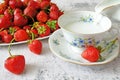 Tasty fresh strawberry with milk sour cream or yogurt closeup, dessert with strawberries