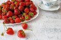 Tasty fresh strawberry with milk sour cream or yogurt closeup, dessert with strawberries