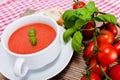 Tasty fresh tomato soup basil and bread Royalty Free Stock Photo