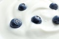 Tasty fresh yogurt with blueberries
