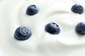 Tasty fresh yogurt with blueberries Royalty Free Stock Photo