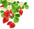 Tasty freshness strawberries.garden berries