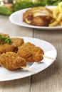 Tasty fried chicken kebob Royalty Free Stock Photo