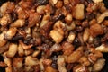 Tasty fried cracklings as background, top view. Cooked pork lard