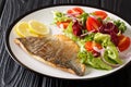 Tasty fried dorado fish fillet with fresh vegetable salad close-up on a plate. horizontal Royalty Free Stock Photo