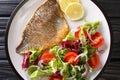 Tasty fried dorado fish fillet with fresh vegetable salad close-up on a plate. Horizontal top view