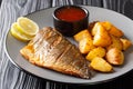 Tasty fried dorado fish fillet with potato garnish and sauces close-up on a plate. horizontal