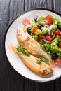 Tasty fried pink dorado or gilt-head bream fish with vegetable salad close-up on a plate. Vertical top view Royalty Free Stock Photo