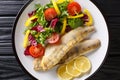 Tasty fried zander fillet with fresh vegetable salad close-up in a plate. Horizontal top view