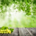 Tasty Grapes on dark wooden table. Sunny green background