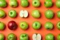 Tasty green apples and red one on background, flat lay Royalty Free Stock Photo