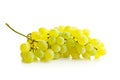 Tasty green grapes. White grape Royalty Free Stock Photo