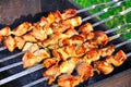 Tasty grill kebab on a charcoal Royalty Free Stock Photo