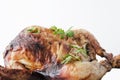 Close up grilled chicken,parsley on it against totaly white background