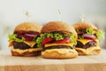 Tasty grilled home made beef burgers and french fries