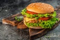 Tasty grilled home made burgers with beef, tomato, cheese, and lettuce. fast food and junk food concept Royalty Free Stock Photo