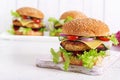 Tasty grilled homemade hamburger with burger chicken, tomato, cheese Royalty Free Stock Photo