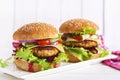 Tasty grilled homemade hamburger with burger chicken, tomato, cheese Royalty Free Stock Photo