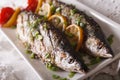 Tasty grilled saury with lemon on a plate close-up. Horizontal Royalty Free Stock Photo