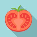 Tasty half tomato icon, flat style