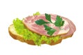 Tasty ham sandwich isolated Royalty Free Stock Photo
