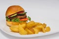 Tasty hamburger, French fries and chili sauce on white plate, Fast food with copy space Royalty Free Stock Photo