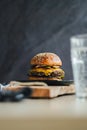 Tasty hamburger with melted cheese and the sesame on the top of the bun Royalty Free Stock Photo