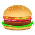 Tasty hamburger on white background