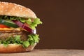 Tasty hamburger on wood background.