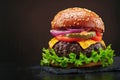 Tasty handmade burger showcased attractively on dark backdrop banner