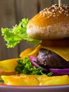 Heeseburger with beef, tomato, cheese, cucumber and french fries Royalty Free Stock Photo