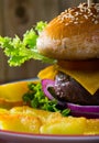 Heeseburger with beef, tomato, cheese, cucumber and french fries Royalty Free Stock Photo
