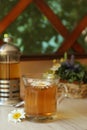 Tasty herbal tea and fresh chamomile flowers on white table Royalty Free Stock Photo